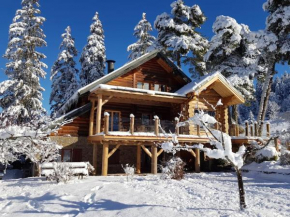 Magnifique chalet en rondins avec sauna - Vercors